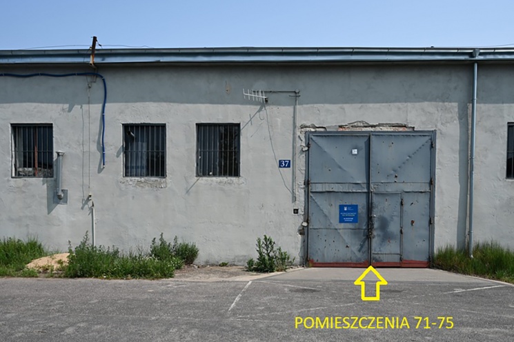 Piła